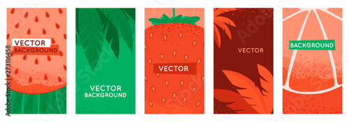 Vector set of social media stories design templates, backgrounds with copy space for text - summer backgrounds with fruits and leaves