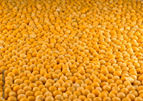 Yellow peas in a single layer. Close-up (macro) side view. On the edges of the frame a small bokeh