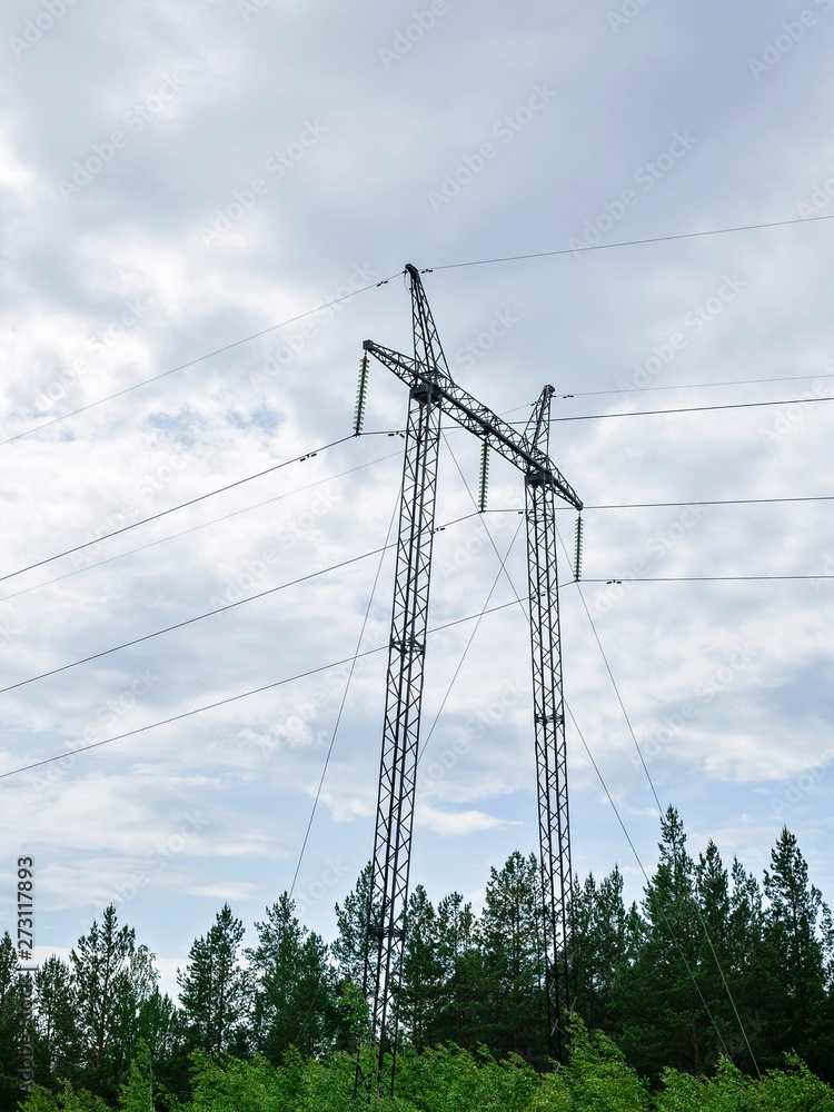custom made wallpaper toronto digitalHigh-voltage electric pole on the background of forest and sky.