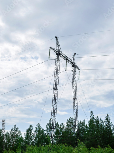 Wallpaper Mural High-voltage electric pole on the background of forest and sky. Torontodigital.ca
