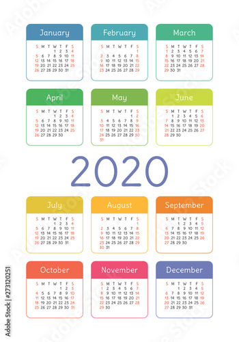 Calendar 2020 year. Vector design template. Colorful English vertical pocket calender. Week starts on Sunday