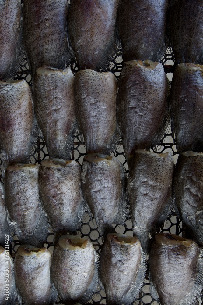 close up Snake Skin Gourami dried fish 'plasalid' lined on grate close up Snake Skin Gourami dried fish 'plasalid' lined on grate