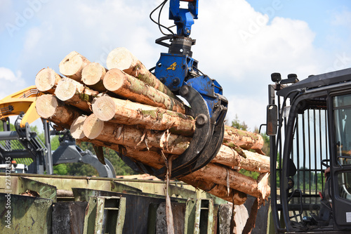 Obraz na płótnie scierie bois industrie scier grappin pince