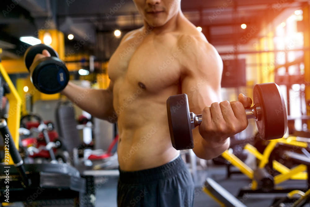 Strong well built bodybuilder asian for lifting dumbbell weights