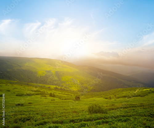 beautiful green mountain valley scene at the sunset © Yuriy Kulik