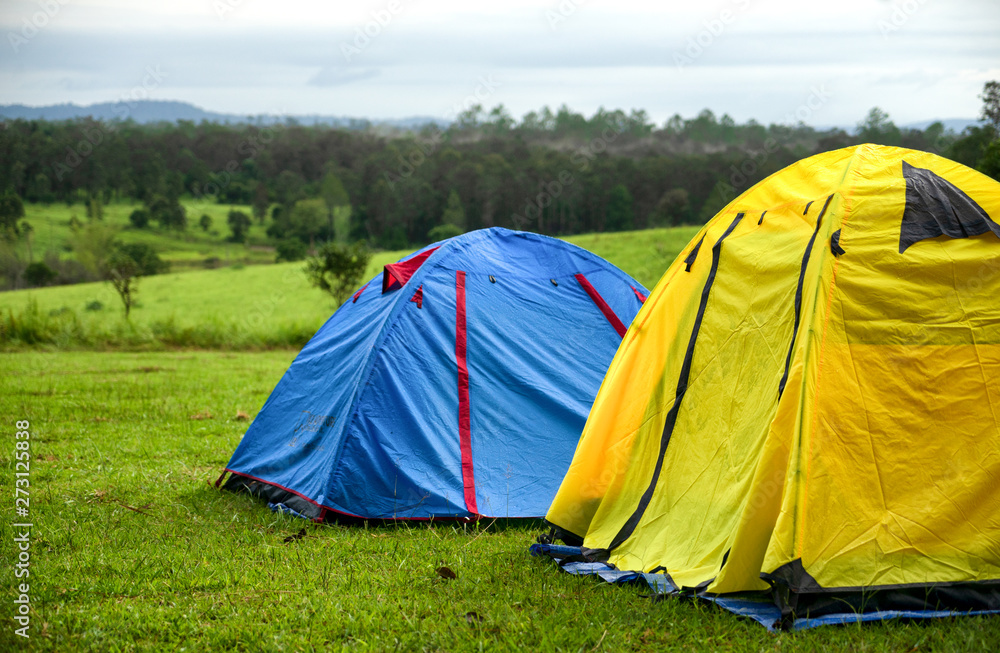 Adventures Camping tourism and tent under the view forest landscape outdoor in morning.