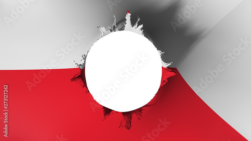 Photography Bratislava, capital of Slovakia flag ripped apart, white background, 3d renderin