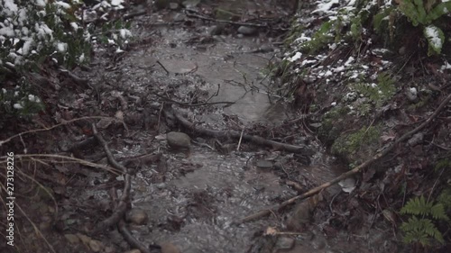 Snow day in the woods on a winters day photo