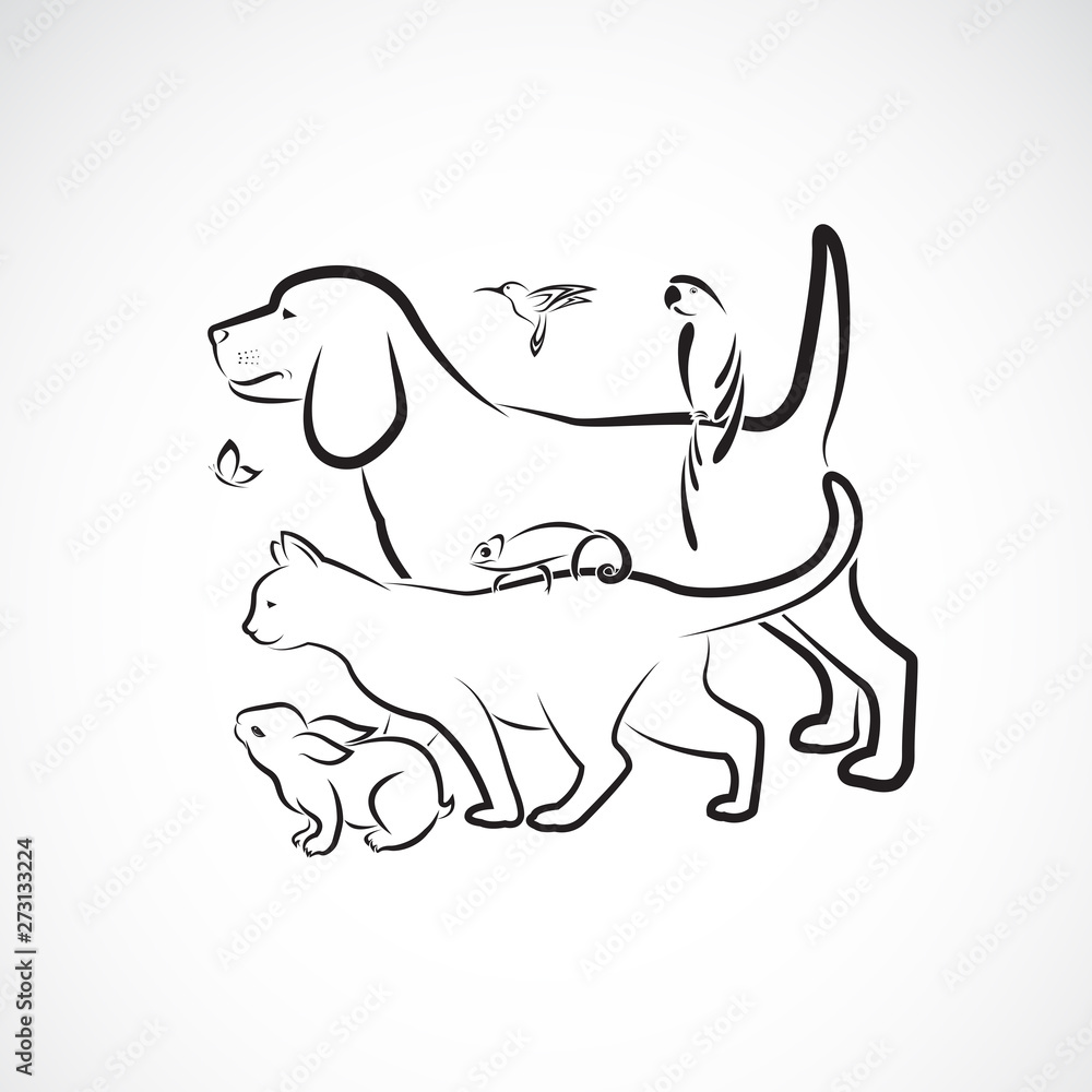 Vector group of pets - Dog, Cat, Parrot, Rabbit, Butterfly, Hummingbird,  Chameleon, isolated on white background. Pet. Animals. Easy editable  layered vector illustration. Pet group. Stock Vector | Adobe Stock
