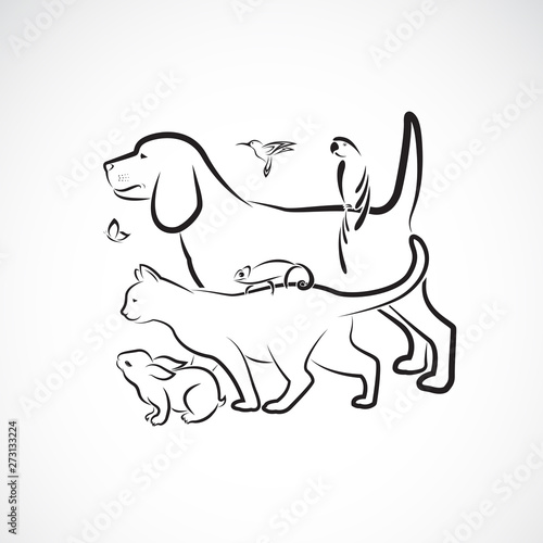 Vector group of pets - Dog, Cat, Parrot, Rabbit, Butterfly, Hummingbird,  Chameleon, isolated on white background. Pet. Animals. Easy editable layered vector illustration. Pet group.