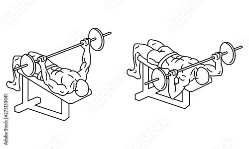 bench press. Exercises and training with weights. vector illustration