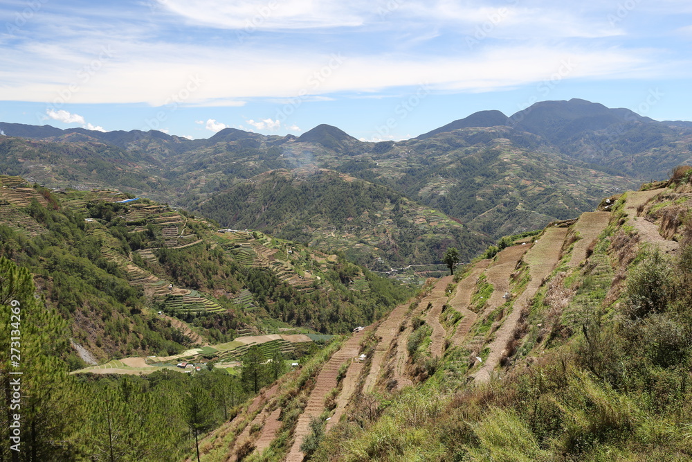 Benguet, die Salatschüssel von den Philippinen