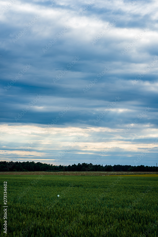 dramatic storm clouds forming over rural area on evening dramatic storm clouds forming over rural area on evening