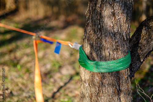 strope for wire walking stretched between trees photo