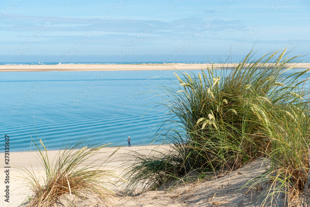 BASSIN D'ARCACHON (France), banc d'Arguin et plage du Petit Nice vus de la dune du Pilat BASSIN D'ARCACHON (France), banc d'Arguin et plage du Petit Nice vus de la dune du Pilat