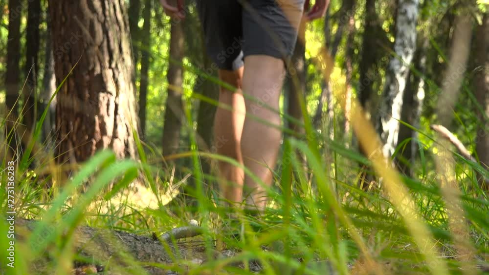A hiker walks through a forest - rear view from the ground A hiker walks through a forest - rear view from the ground
