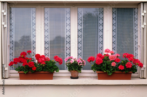 Window ledge with continers of Geraniums in front of a decorative lace curtain of a house in Honfleur Nromandy France © Garden Guru