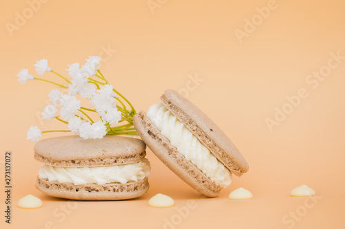 White flower near the macaroons on colored backdrop