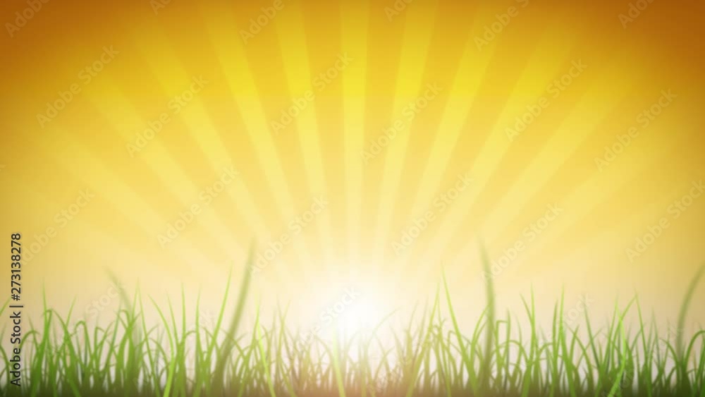 Grass Leaves On Beautiful Sky Background Loop/ 4k animation of a loopable beautiful nature background with blades of grass moving with the wind and lens flare for shining sun effect Grass Leaves On Beautiful Sky Background Loop/ 4k animation of a loopable beautiful nature background with blades of grass moving with the wind and lens flare for shining sun effect