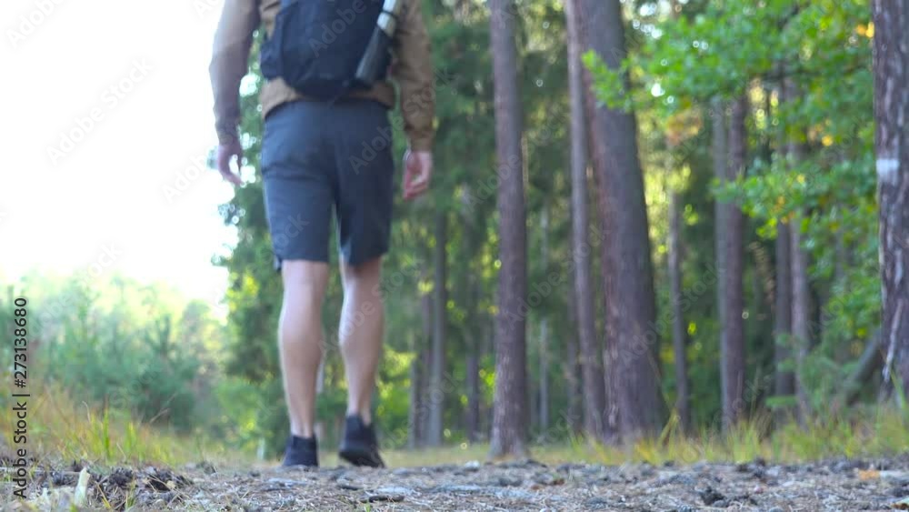 A hiker walks down a pathway through a forest - view from the ground A hiker walks down a pathway through a forest - view from the ground