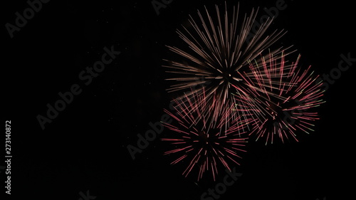 fireworks lights in the night sky