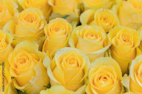 Fresh yellow roses background. A huge bouquet of flowers. The best gift for women