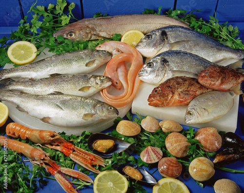 Seafood still life. photo