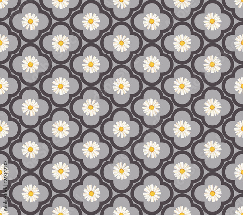 pattern. seamless. White daisies. daisy, flower