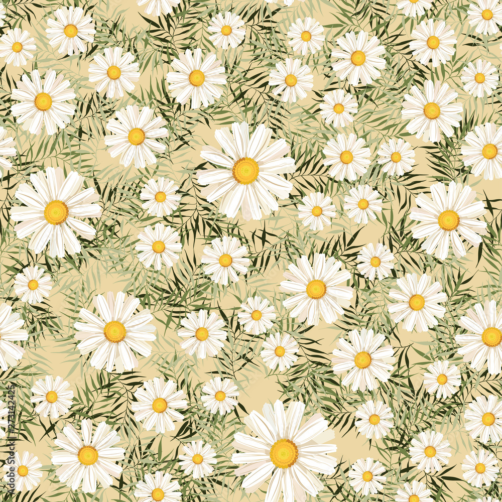 pattern. seamless. White daisies. daisy, flower pattern. seamless. White daisies. daisy, flower