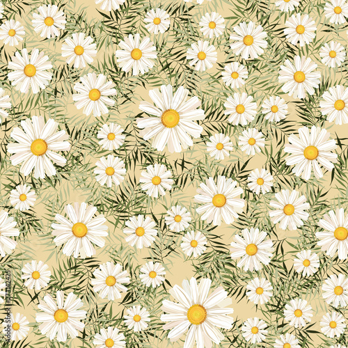 pattern. seamless. White daisies. daisy  flower