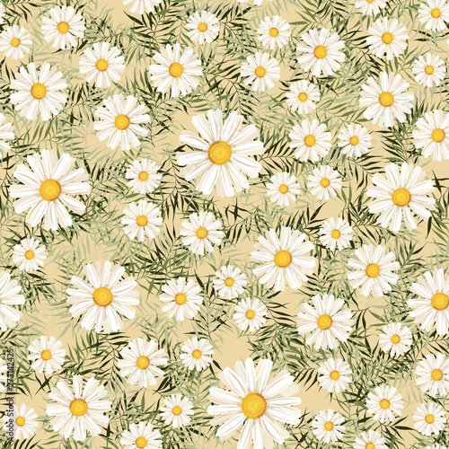 pattern. seamless. White daisies. daisy, flower