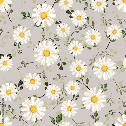 pattern. seamless. White daisies. daisy, flower