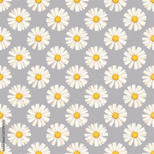 pattern. seamless. White daisies. daisy, flower