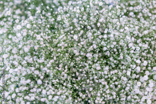 White spring wildflowers. background. Natural floral background