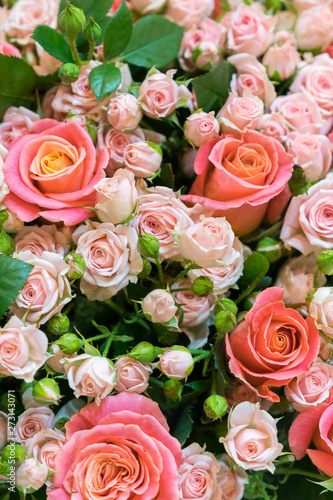 Beautiful fresh red and pink roses. beautiful bouquet of roses. vertical photo