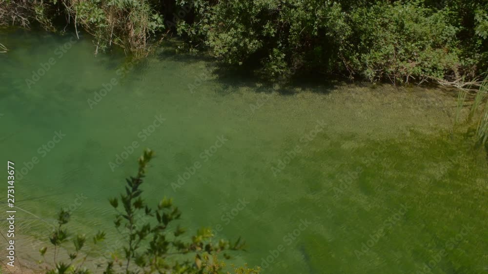 A pond in a natural reserve with clear turquoise water. PANNING SLOW MOTION SHOT. A pond in a natural reserve with clear turquoise water. PANNING SLOW MOTION SHOT.
