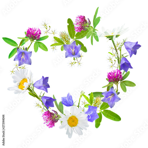 Fototapeta Naklejka Na Ścianę i Meble -  Heart shaped wild flower wreath on a white background, daisies, red clovers and bluebells -
