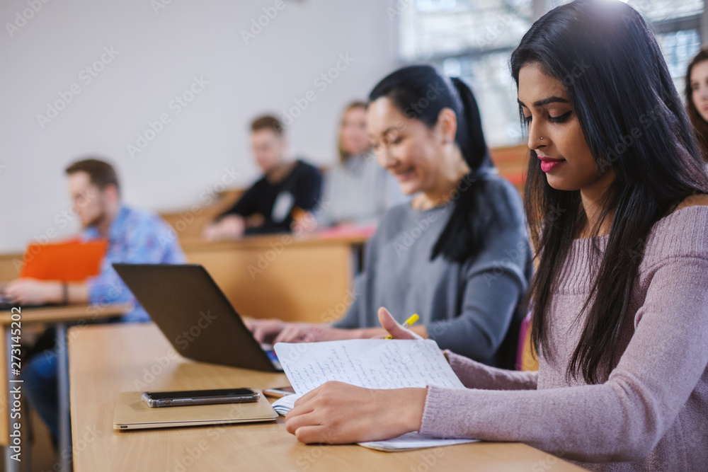 Multinational group of students in an auditorium Multinational group of students in an auditorium