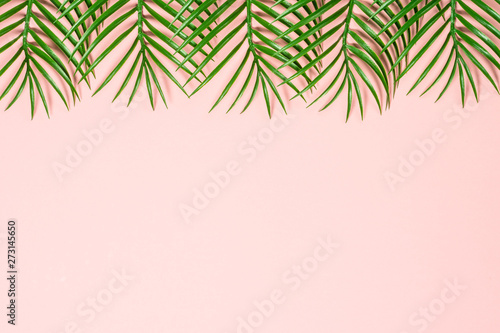 Tropical leaves on pink background. 