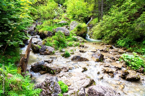 The Homole Ravine in Pieniny mountains, Poland photo