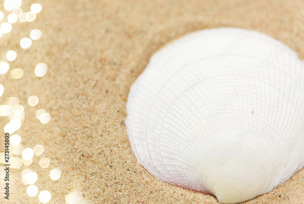 vacation and summer holidays concept - seashells on beach sand vacation and summer holidays concept - seashells on beach sand