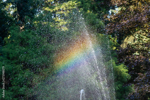 A rainbow in a fountain in a water park in the forest of Canada. Conceptual.