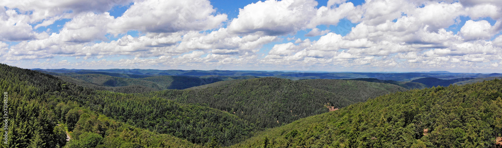 Obraz premium Luftaufnahme vom Pälzerwald