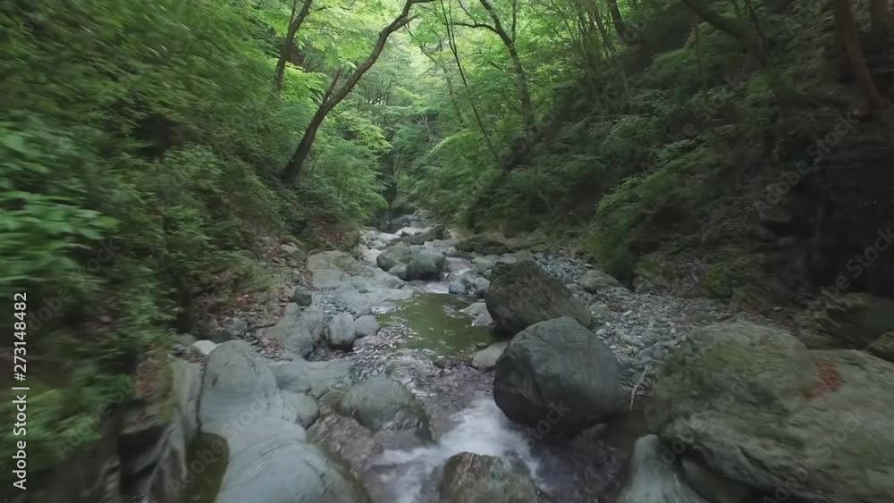 beautiful mountain stream in the forest of Borneo Island beautiful mountain stream in the forest of Borneo Island