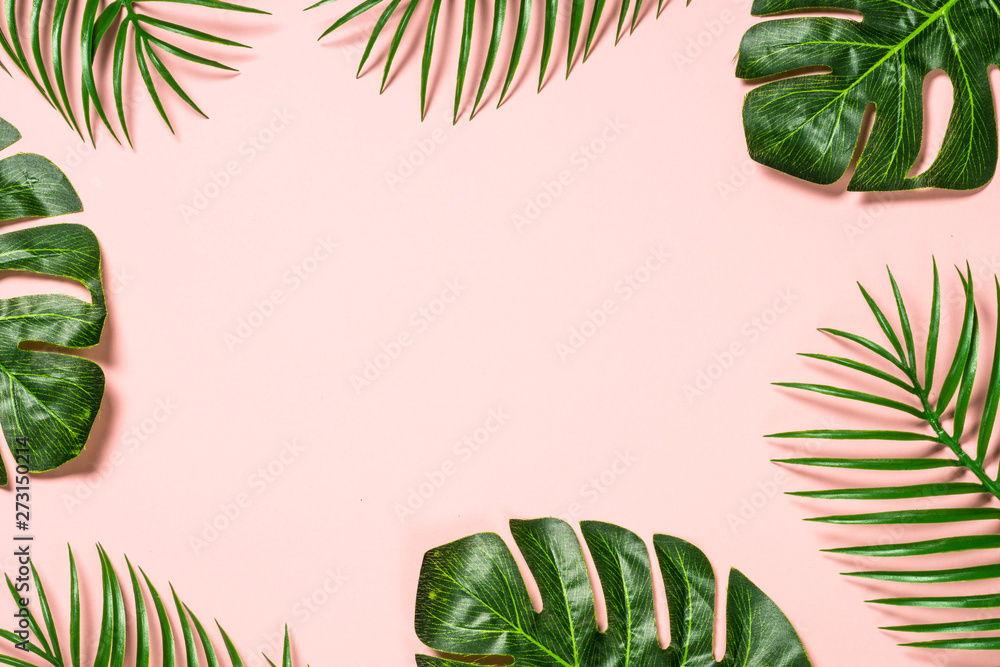Fotografie Tropical leaves on pink background.