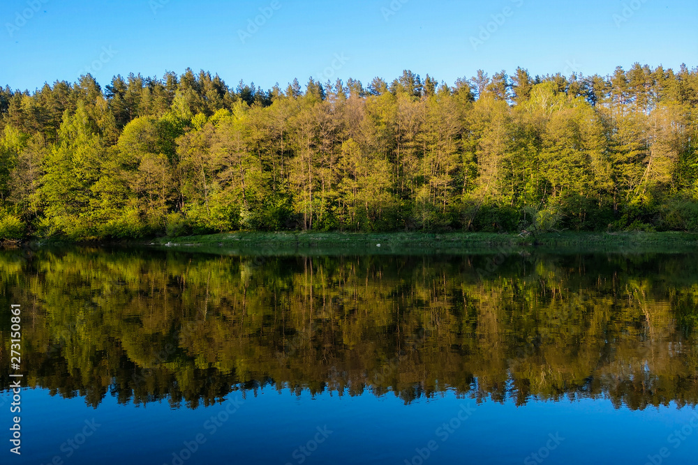 Beautiful river with a forest, the reflection of trees in the water, smooth calm surface of the water without waves. Beautiful river with a forest, the reflection of trees in the water, smooth calm surface of the water without waves.