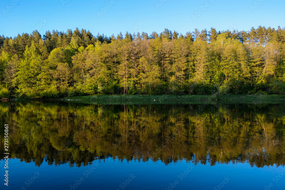 Beautiful river with a forest, the reflection of trees in the water, smooth calm surface of the water without waves.