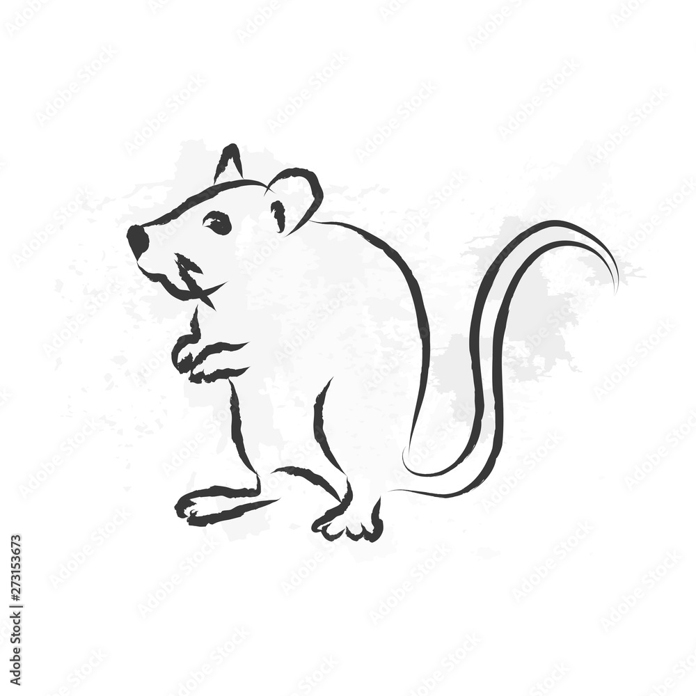 Ink brush painting mouse, rat illustration with gray watercolor background.Chinese Zodiac Sign. 2020 new year Ink brush painting mouse, rat illustration with gray watercolor background.Chinese Zodiac Sign. 2020 new year