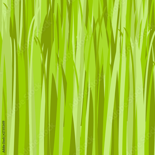 Green grass pattern. Grass in meadow. Vector greenery background