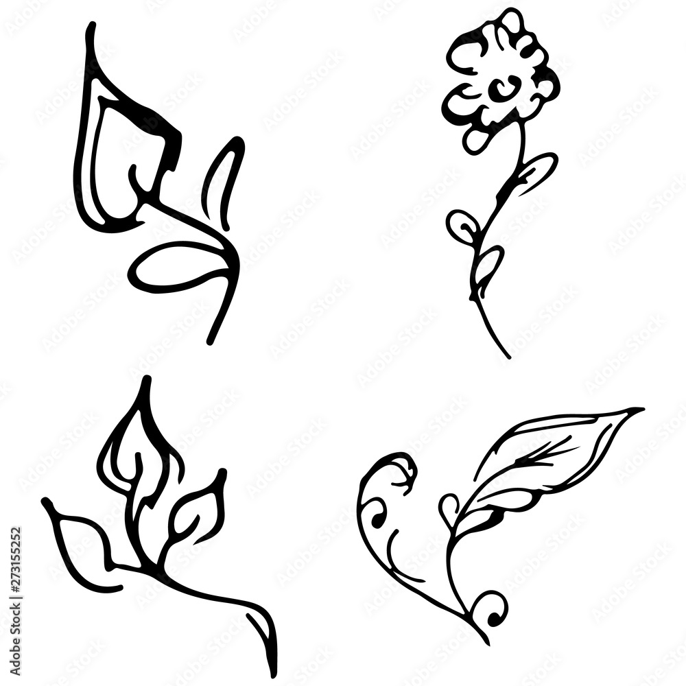 Naklejka premium Flowers and branches hand drawn doodle collection isolated on white background. 4 floral graphic elements. Big set. Outline collection
